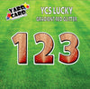 YCS Lucky Large Number Set Glitter Red Gradient